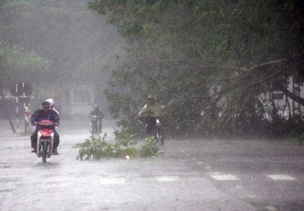 Bão tàn phá miền Trung