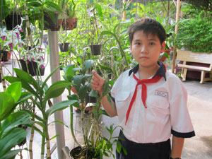 Bảo vệ rừng là bảo vệ cuộc sống nhân loại