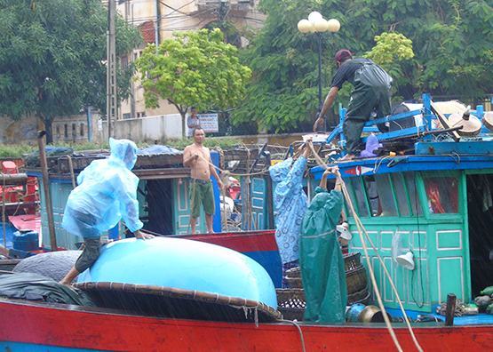 Miền Trung: Cho HS nghỉ học tránh bão