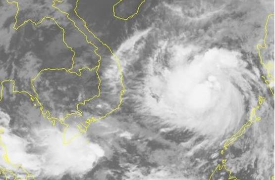 Trường học theo dõi diễn biến bão, chủ động phòng tránh