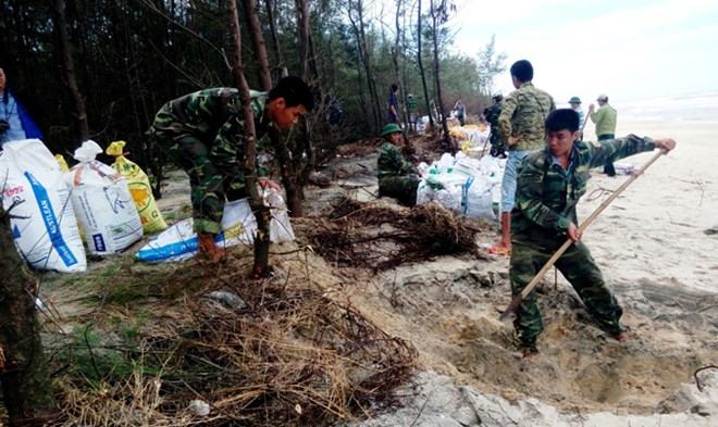 Bất lực nhìn biển nuốt đồng