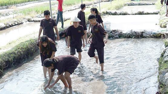 Học sinh trường Thủ Thiêm trải nghiệm làm nông dân