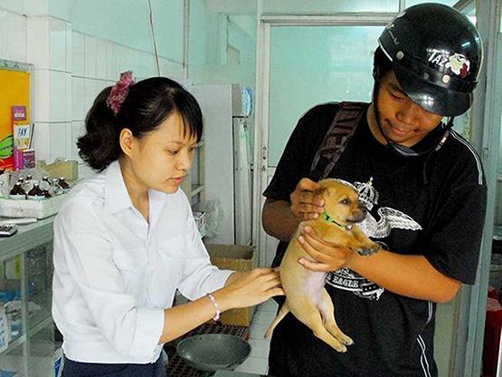 Năm 2020, TP.HCM được công nhận là vùng an toàn bệnh dại