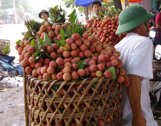 Vải thiều vỏ mỏng, cùi dày, hạt lép. 