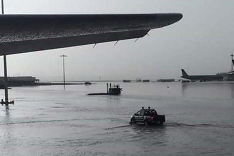 Bí thư Đinh La Thăng yêu cầu chống ngập cho sân bay Tân Sơn Nhất - ảnh 1