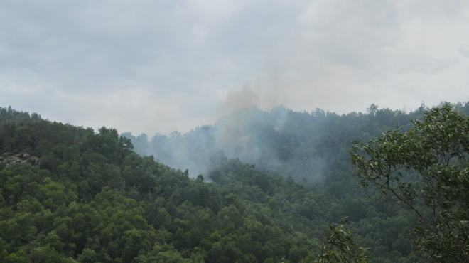 Bình Định: cháy hơn 5ha rừng trên núi Bà Hỏa