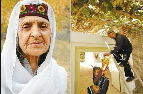 bo-toc-900-nam-qua-khong-mot-nguoi-mac-ung-thu