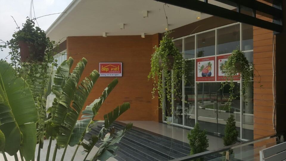 Phát hiện hoa Ưu Đàm khai nở ở Thành phố mới Bình Dương