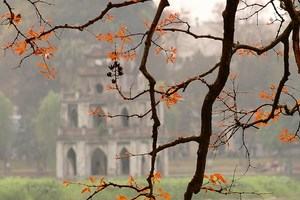 Cả nước vẫn duy trì nắng đẹp trong những ngày đầu tuần