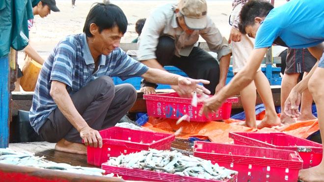 Sự cố môi trường biển 4 tỉnh miền Trung: Khẩn trương bồi thường cho người dân