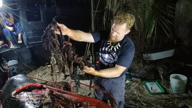 Ca voi chet do nuot phai 40kg tui nylon