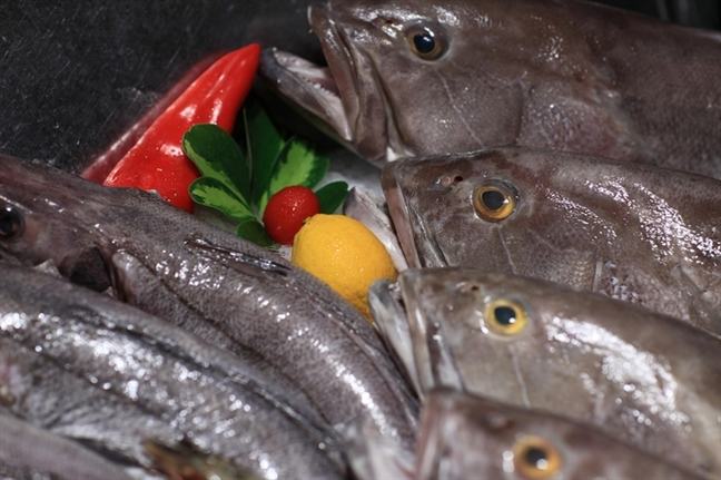 Cac loai ca de nhiem doc do con nguoi tan pha moi truong nuoc