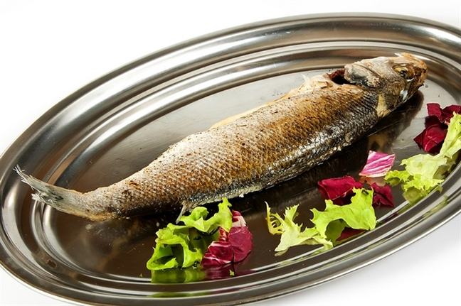 Cac loai ca de nhiem doc do con nguoi tan pha moi truong nuoc