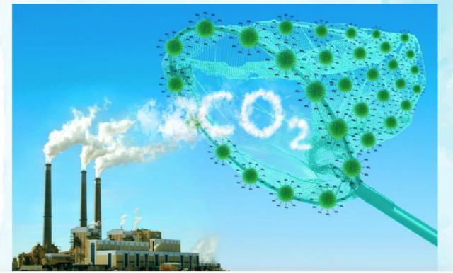 Các nước vào cuộc đua Net Zero, giá tín chỉ carbon tăng nhanh - Ảnh 1.