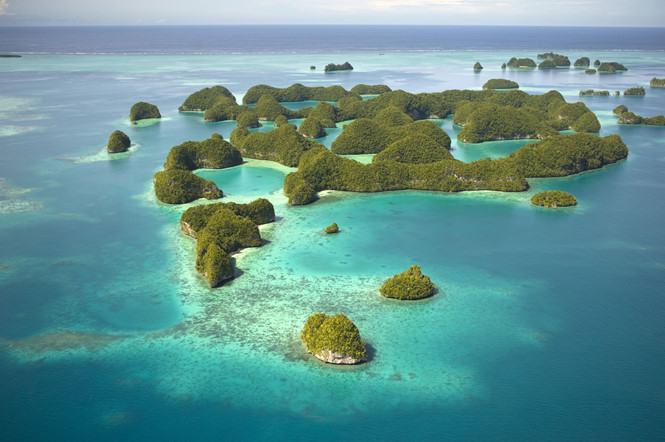 Cấm kem chống nắng để bảo vệ san hô