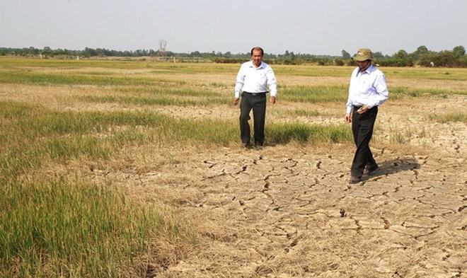 Cần 25.000 tỷ đồng giúp ngành nông nghiệp khắc phục hậu quả của El Nino