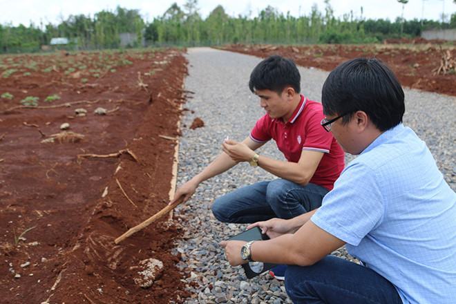Bó vỉa bê tông được "khắc phục" bằng cách lấp đất lại rất sơ sài /// Ảnh: Nguyễn Long