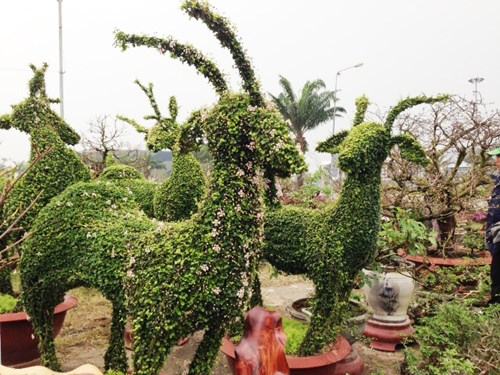 Cây cảnh hình dê đón Tết Ất Mùi - ảnh 2