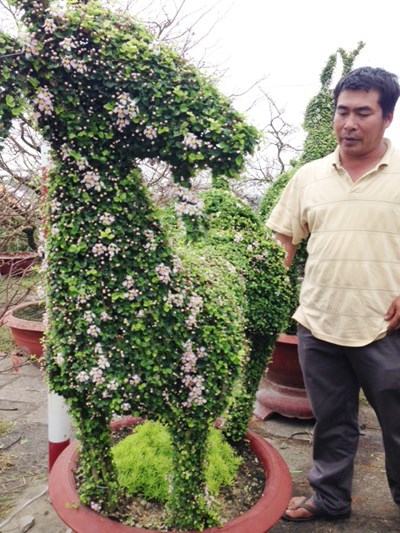 Cây cảnh hình dê đón Tết Ất Mùi - ảnh 3