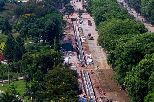 Hà Nội: Chưa có kế hoạch chặt 4.000 cây xà cừ