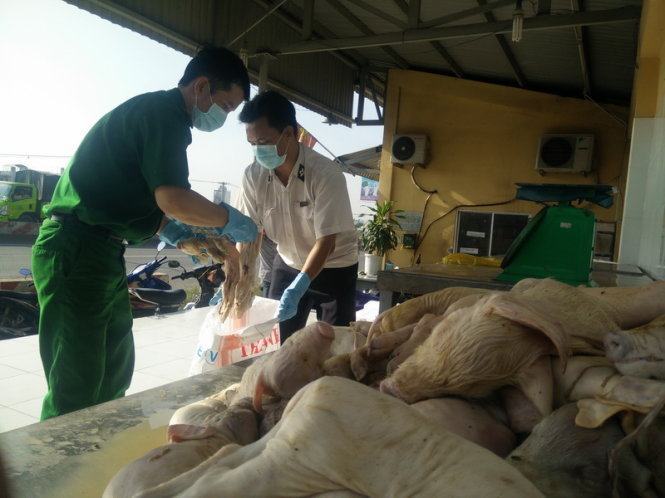 Chặn vụ vận chuyển 152 con heo sữa chết về miền Tây