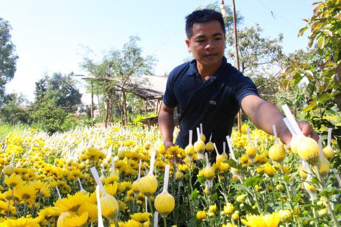 Chàng trai Ê Đê khởi nghiệp với hoa 