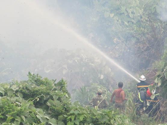 Cháy rừng liên tiếp ở Nam Hải Vân