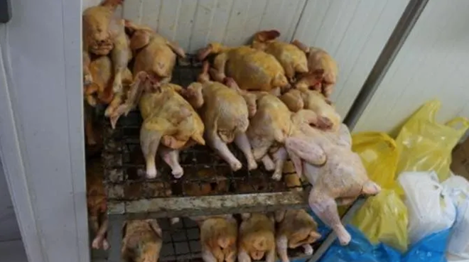 Chiến dịch truy quét thực phẩm giả toàn cầu