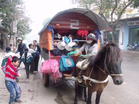 Chở học sinh đến trường bằng xe ngựa