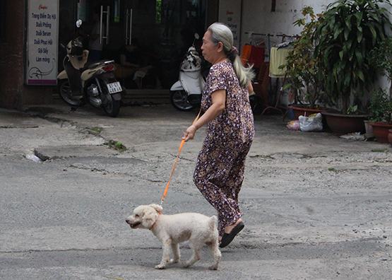 Hãy là “Một người nuôi chó văn minh”!