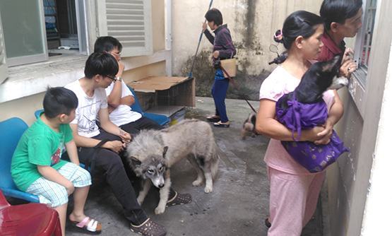 “Xây dựng TP.HCM là vùng an toàn bệnh dại trên chó mèo…”