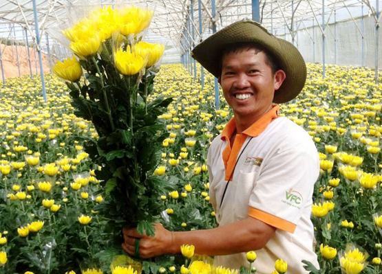 Đà Lạt sẽ có chợ hoa đầu mối