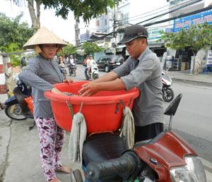 Chợ…di động