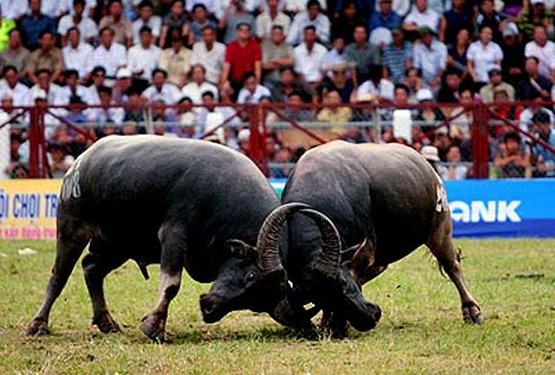 Siết quản lý tổ chức lễ hội