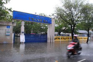 Chủ động ứng phó với bão