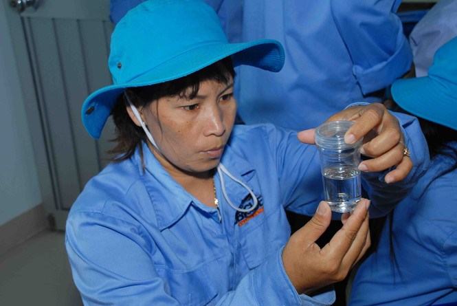 Thả muỗi mang vi khuẩn Wolbachia trên đảo Trí Nguyên	 /// Ảnh: TL