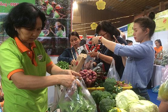 Chặn thực phẩm bẩn vào thành phố