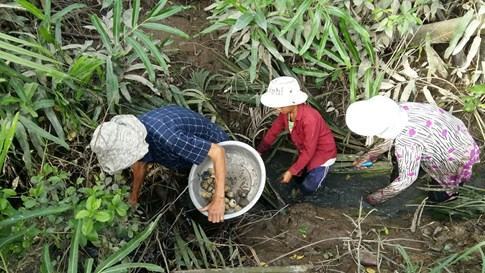 Chuyện về cậu bé vừa bán rau vừa tự học bên lề đường - ảnh 2