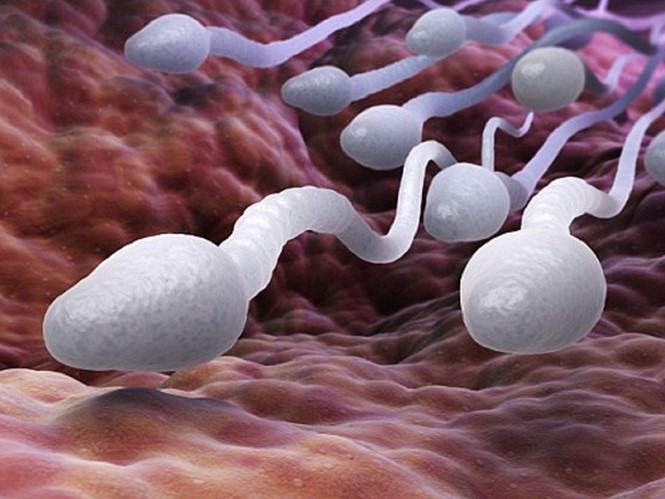 Người đàn ông vô sinh vì trong tinh dịch ông không có tinh trùng /// Ảnh minh họa: Shutterstock