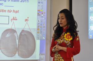 Cô giáo trẻ tài năng