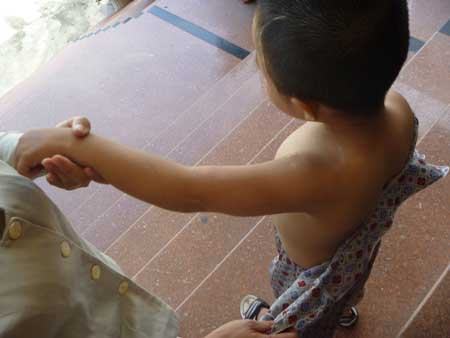 Cô nuôi dạy hổ – lỗi của ngành giáo dục?