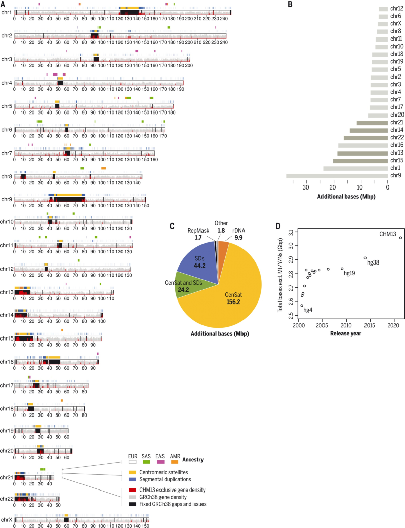 Công bố bản đồ gien người hoàn chỉnh đầu tiên trên thế giới - ảnh 1