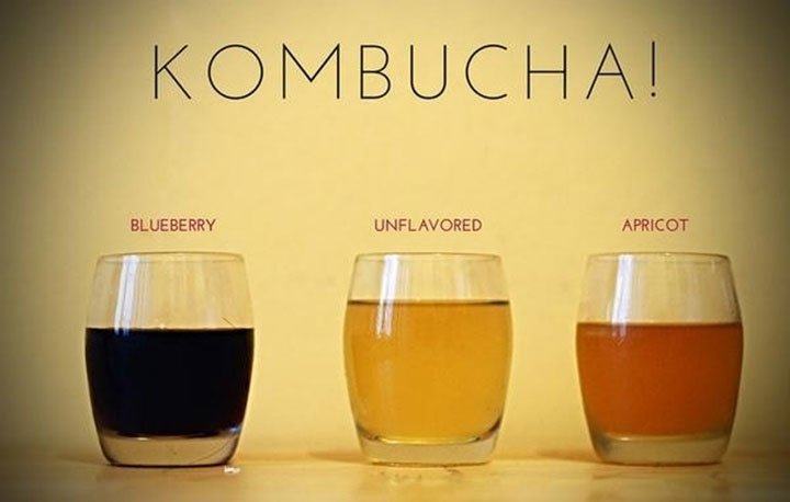 Trà Kombucha