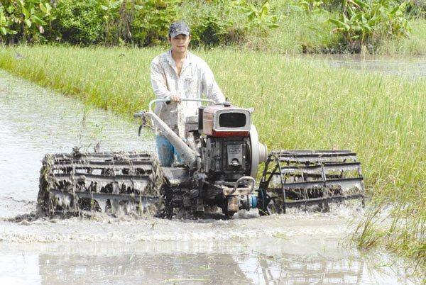 Công nghiệp hóa – cuộc đời không như là mơ