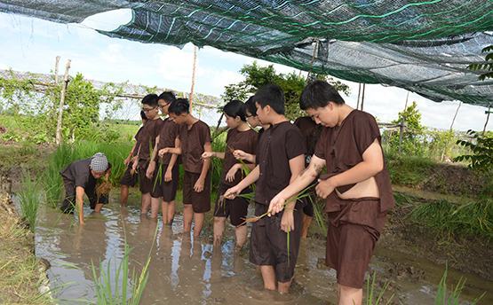 Học trò tập làm nông dân