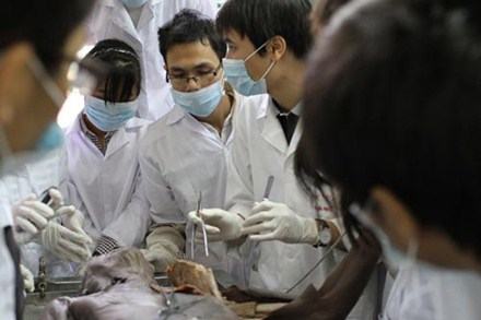 Cuộc chơi của “con nhà giàu học giỏi”?