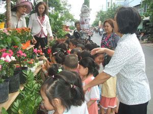 Cuối năm hoa, trái được mùa