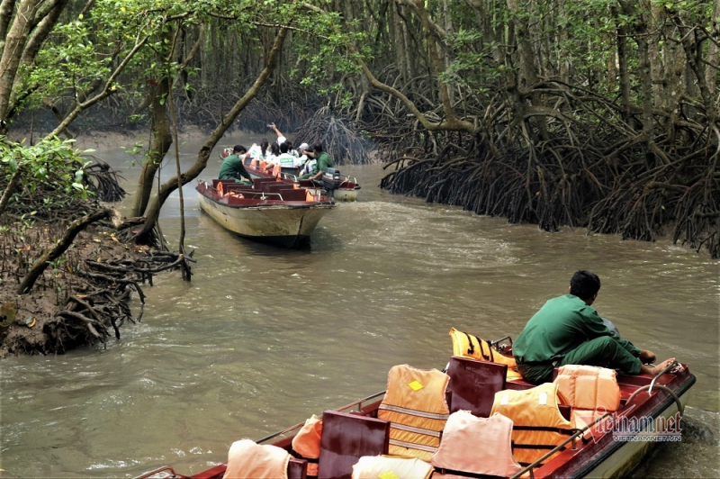 Cuối tuần này, vùng xanh Sài Gòn mở lại tour, đón khách du lịch