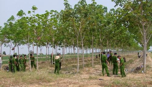 Cướp nhắm vào phụ nữ