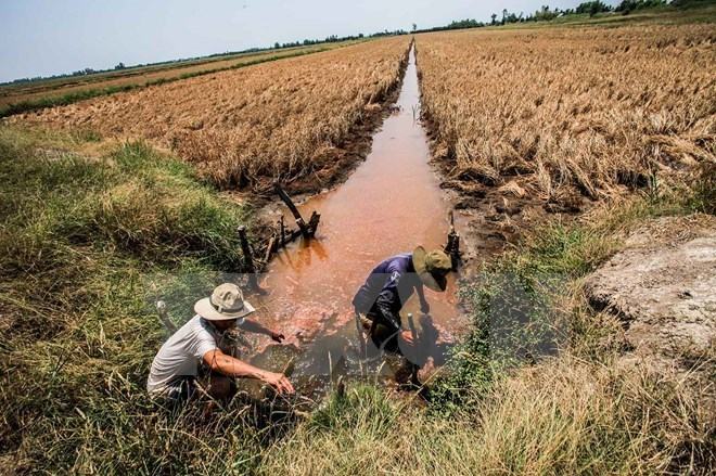 Cứu trợ khẩn 4 tỷ đồng cho người dân vùng hạn, xâm nhập mặn